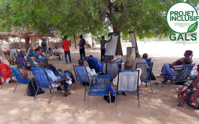 APPROCHE GALS : SYSTÈME D’APPRENTISSAGE ACTION GENRE