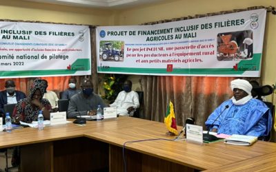 TENUE DU 4E COMITÉ NATIONAL DE PILOTAGE DU PROJET INCLUSIF